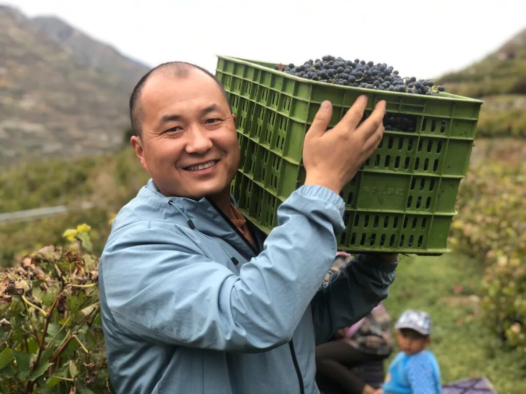 跨界深耕高原葡萄酒产业